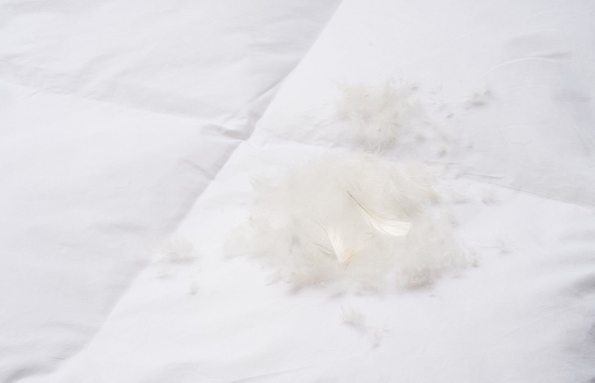 Paplón Down Comfort All Season