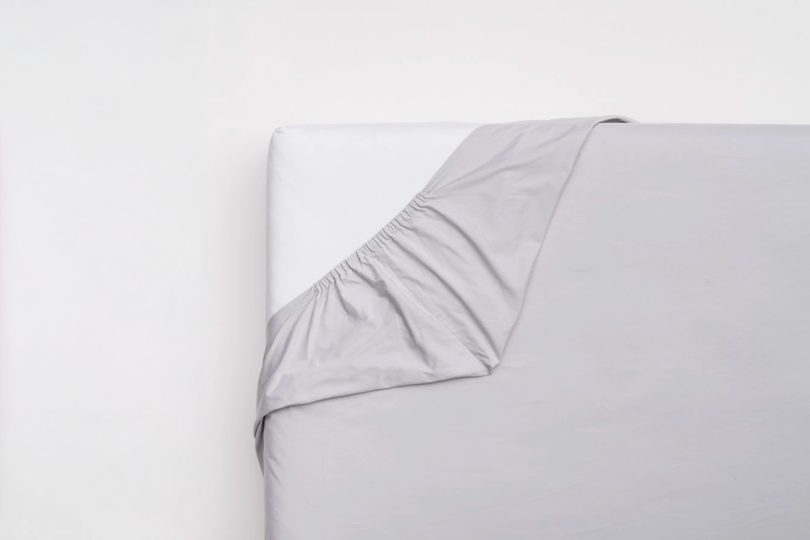 Plachta Foggy Evening