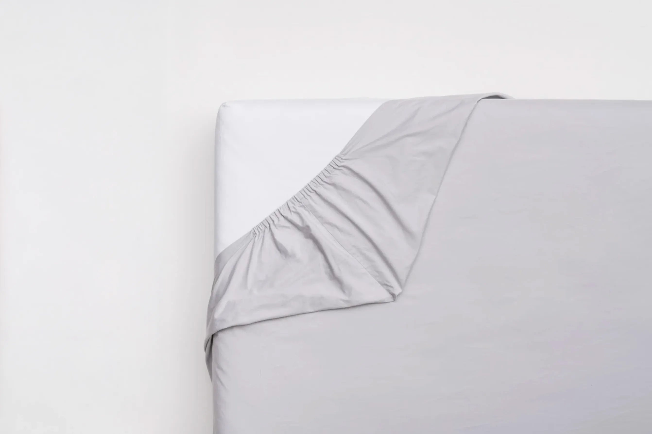 Plachta Foggy Evening