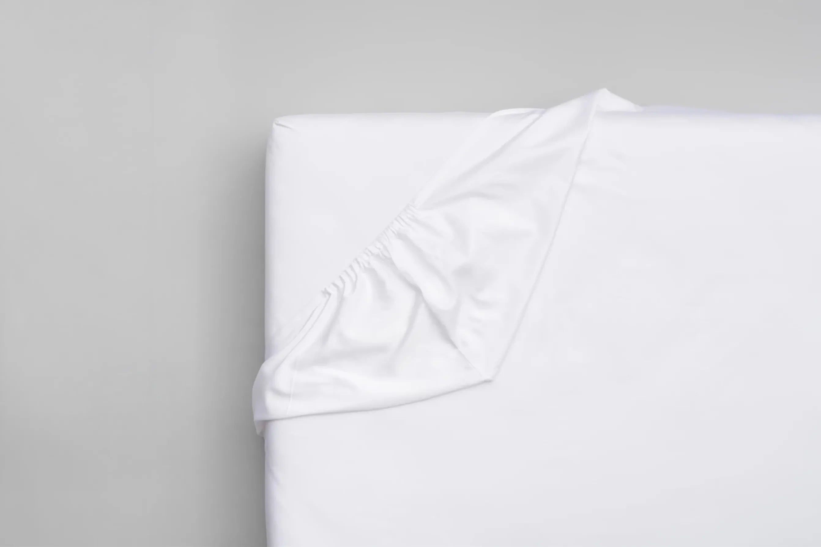 Plachta Frosty Morning