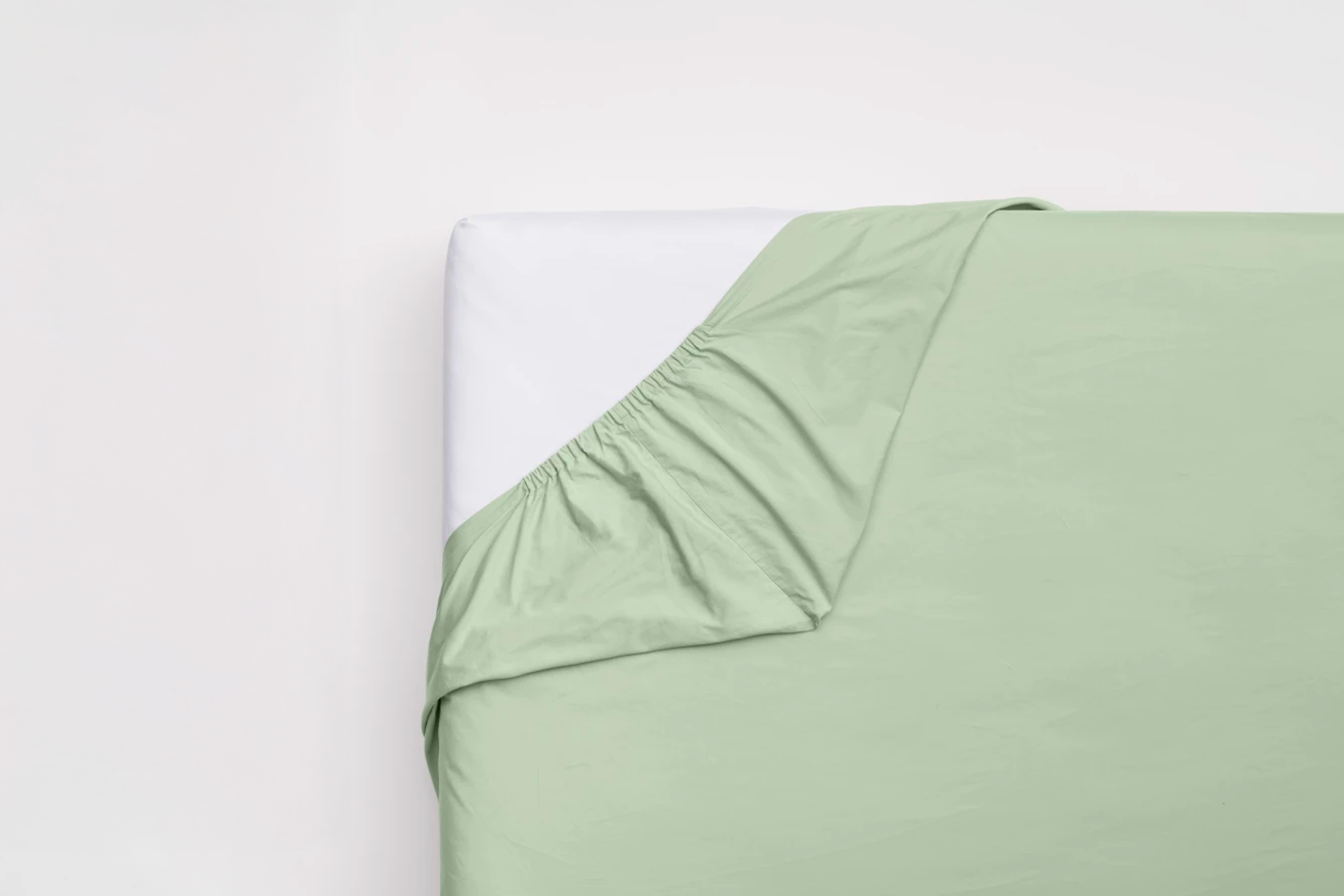 Plachta Jane's Weekend