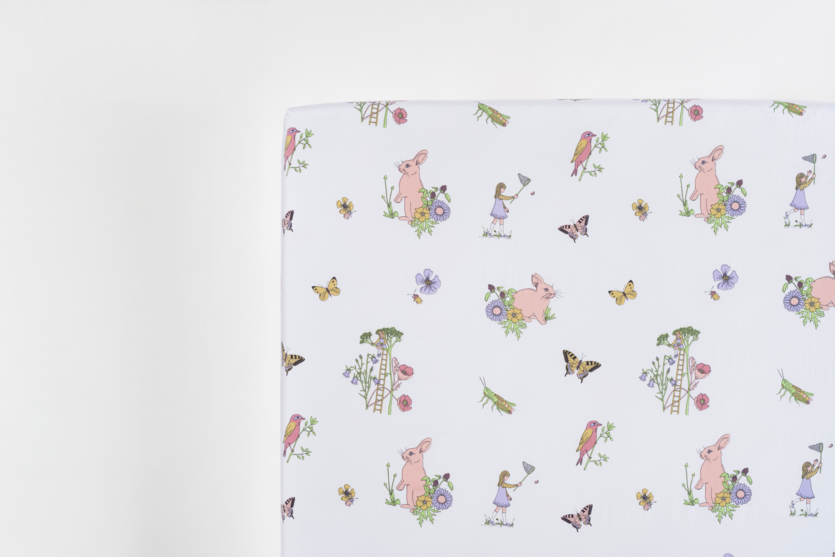 Plachta Rebeca's Dream