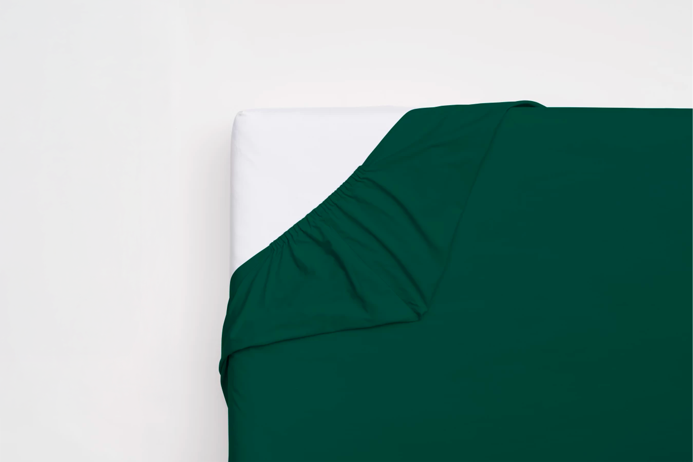 Plachta Renaissance Affair