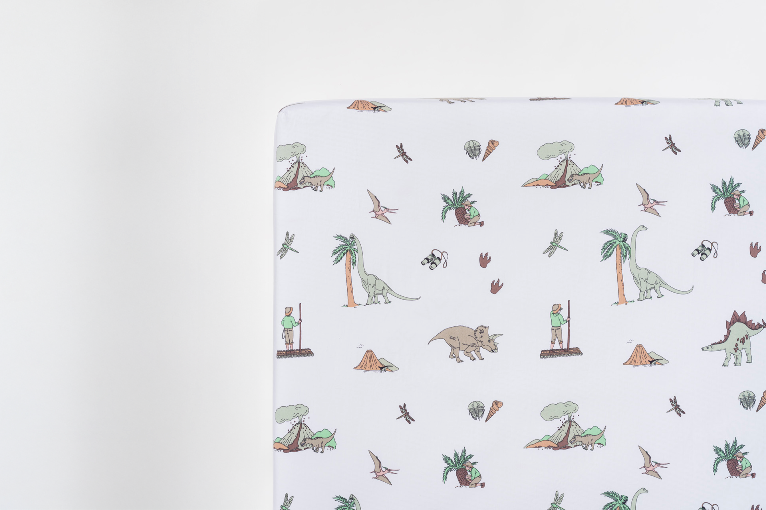 Plachta Tobias' Dream