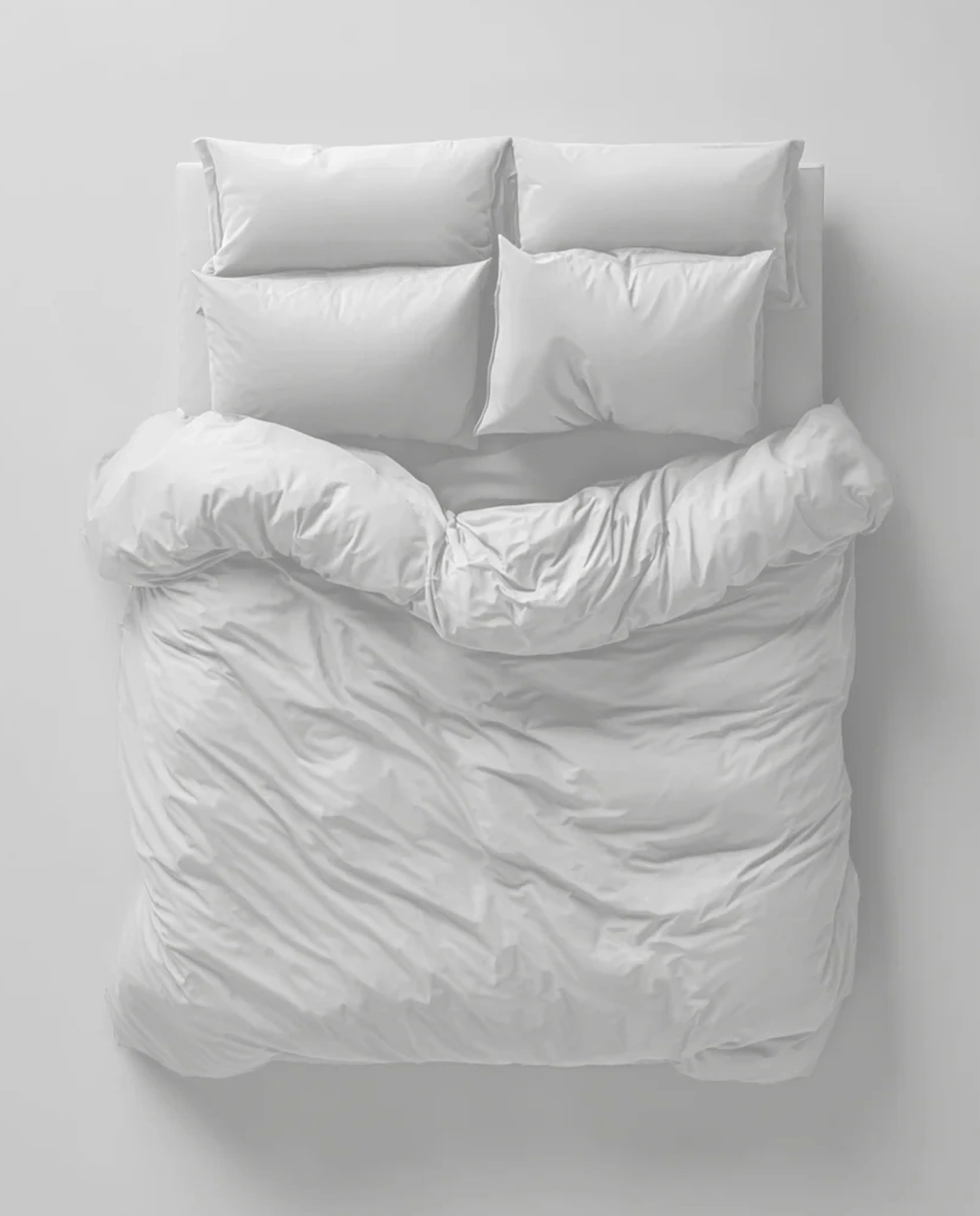 Obliečky Frosty Morning