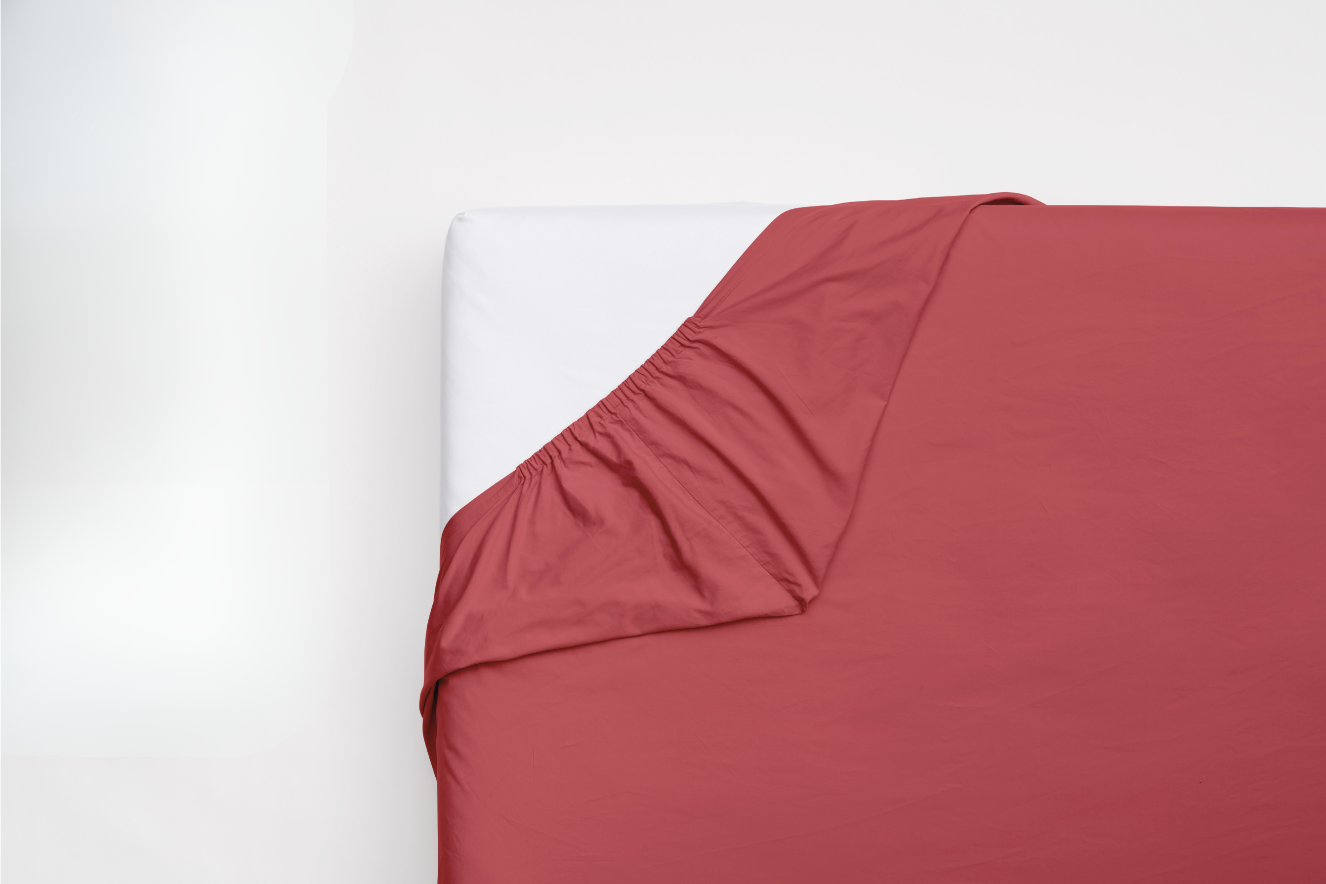 Plachta Japanese Spirit